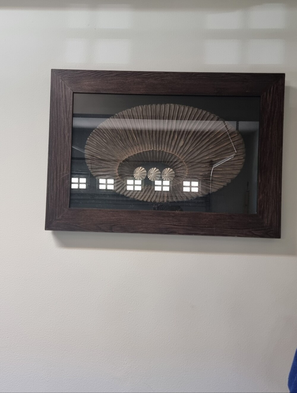 Framed Natural Fan Wall Art - Brown